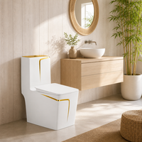 WC monobloc à siphon design simple, WC en céramique à double chasse avec accents dorés audacieux