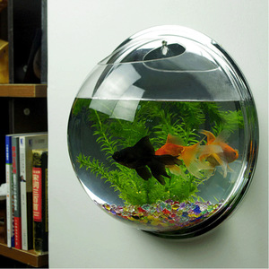 Rond Helder Acryl <span class=keywords><strong>Aquarium</strong></span> <span class=keywords><strong>Aquarium</strong></span> <span class=keywords><strong>Aquarium</strong></span> Mini Acryl <span class=keywords><strong>Aquarium</strong></span> <span class=keywords><strong>Aquarium</strong></span> <span class=keywords><strong>Aquarium</strong></span> - Product Image 4