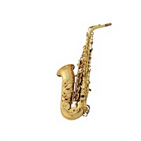 Ellman SAX Musical Instrument Professional Midrange Drop E Electrophoresis Gold Lien Large Guard Brass Saxophone High-grade