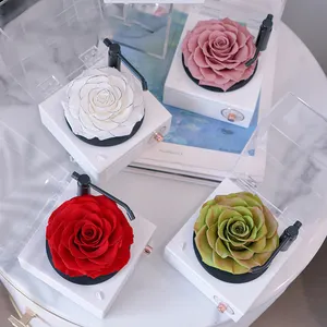 2023 regalo di fiori creativi Giant Single rose reali conservate 9-10cm In altoparlante bluetooth