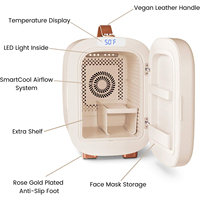Mini-réfrigérateur portable électrique 5L pour maquillage et beauté, à température constante, pour usage hôtelier, écoénergétique
