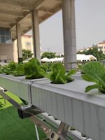 Système hydroponique NFT pour la culture hors-sol de légumes et de fraises, à base de tuyaux haute rigidité, pour balcon