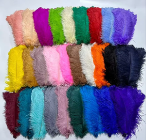 Vrac 50-55cm grandes plumes d'autruche blanches pour décorations de mariage ornements de bureau blanchis pour montage de mouches - Product Image 4