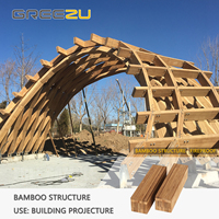Arquitectura Moderna de Bambú, Casa Escultural de Bambú, Diseño Artístico Innovador, Construcción de Casas Prefabricadas de Bambú para Lugares Escénicos