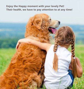 New Arrival Thời Gian Thực Theo Dõi Thiết Bị Sức Khỏe Vật Nuôi Tình Trạng Detector 4G Mini Pet Dog GPS Tracker Sức Khỏe Cổ Áo Với Ứng Dụng Miễn Phí - Product Image 4