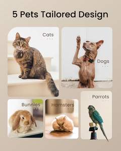 Fabricante de golosinas para mascotas con enchufe de la UE, 10 tipos de golosinas frescas caseras y alimentos para perros, gatos y comedero para mascotas pequeñas, comedero para cocinar mascotas DIY - Product Image 5