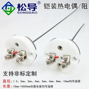 Núcleo de Detector de Temperatura Blindado WZPK-010, Sensor de Temperatura de Resistencia PT100, Resistencia Ensamblada - Product Image 5