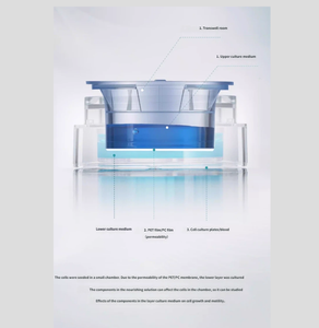 <span class=keywords><strong>Chambre</strong></span> <span class=keywords><strong>de</strong></span> <span class=keywords><strong>culture</strong></span> cellulaire - Membrane en polycarbonate PC, Membrane en polyester PET, Bassin <span class=keywords><strong>de</strong></span> <span class=keywords><strong>culture</strong></span> cellulaire - <span class=keywords><strong>Chambre</strong></span> <span class=keywords><strong>de</strong></span> <span class=keywords><strong>culture</strong></span> cellulaire adhérente TC - Product Image 3