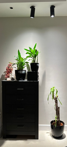 Dimmable Full Spectrum LED Track Grow Light Track / Recessed / Wall Mount for Indoor <strong>Agave</strong>, Monstera, Cacti &amp; Caudex Plants - Product Image 5