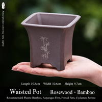 Pot de fleurs en résine pour jardin, style chinois minimaliste, avec plusieurs trous de drainage, pour orchidée de la baie rouge à feuilles fines