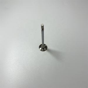 Stzt Katup Buang Masukan Mesin 6420530401 6420500527 untuk Mercedes Benz C320 C350 CLK320 CDI OM642 3.0 Diesel - Product Image 2