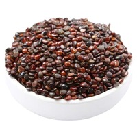 Zhi ju zi Herbe chinoise naturelle Hovenia dulcis Graine d'arbre à raisin Fruit de graines de baies d'arbre à raisin japonais