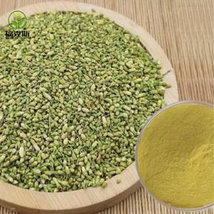 ルチンエキスルチンハイドレート粉末ルチンエキス - Product Image 1