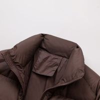Manteau Court Matelassé Hiver 2024 pour Femme, Veste Chaude Zippée à Col Montant, Doudoune Décontractée Couleur Unie
