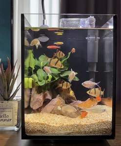 Kit <span class=keywords><strong>Acquario</strong></span> da Scrivania in Vetro Ultra-Trasparente con Filtro, Luce LED, Ecologico, a Risparmio Energetico, Adatto ai Principianti, Tutto in Uno - Product Image 5