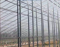 Serres préfabriquées en structure acier de style industriel moderne pour légumes et fleurs