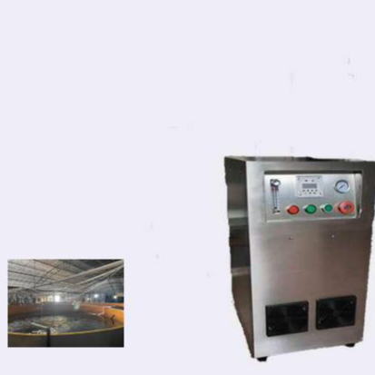 5-литровый генератор озона, 10 л, кислородный концентратор, 96%