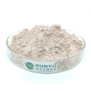 Extrait de plante standard Poudre d'extrait de pomme Phlorétine 98% Phlorétine en vrac - Product Image 1