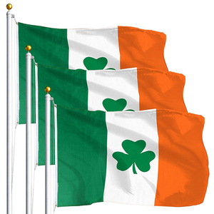 Colores vibrantes personalizados de alta calidad de 3x5 pies con costuras dobles que no se desvanecen y anillos de latón Bandera de trébol irlandés del Día de San Patricio - Product Image 2