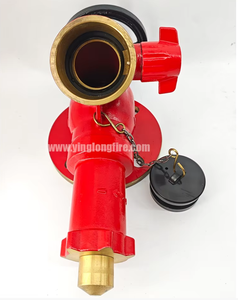 Hidrante contra incendios GOST de 2,5 pulgadas con doble salida y conexión roscada BS336. Equipo contra incendios. - Product Image 6