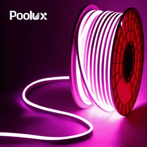 Rope Light Living room Neon Led Light Strip outdoor pool light