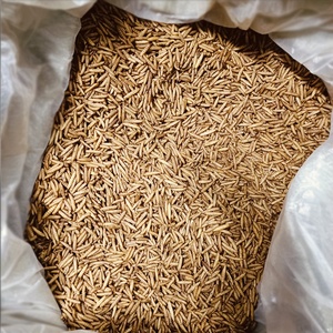 อาหารสำหรับสัตว์เลื้อยคลาน ไบโอฟอร์เต้ ตัวอ่อนแมลงวันดำอบแห้ง โปรตีนสูง ฆ่าเชื้อด้วยไมโครเวฟ ไม่มีกลิ่น สำหรับกิ้งก่ามีหนวดและกิ้งก่าเสือดาว - Product Image 2