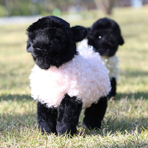 Nuevo Peluche de Oveja de Lana Rizada con Bola de Carbón, Muñeco de Peluche para Niños, Almohada Relajante para Bebés, Muñecos de Animales de Peluche - Product Image 2