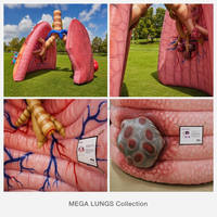 Modèle Anatomique Géant Gonflable Personnalisé (Poumon, Cœur, Cerveau) en Nylon pour Exposition Médicale, Éducation à la Santé, Musée et Campagne Anti-Tabac