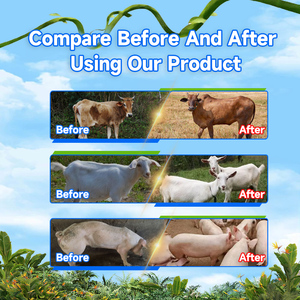 Additivo per mangimi animali suinetti suini suini bovini ovini capra vitamina probiotica per il richiamo della crescita per aumentare i supplementi di peso - Product Image 6