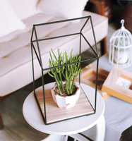 Maison moderne En Forme De Support De Pot De Fleur Présentoir Planteur Avec Base En Bois Pour La Décoration Intérieure