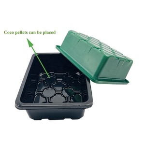 Khay Trồng Cây Giống Thủy Canh Cổ Điển Chất Lượng Cao Với Các Dụng Cụ Nhỏ - Product Image 3