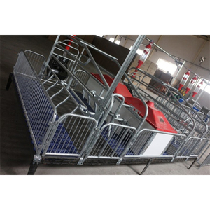 Attrezzatura per Ingrasso Suini, Gabbia per Maternità, Recinzione, Recinti per Ingrasso - Product Image 4