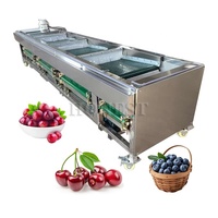 Automatische Elektrische Industriële Bosbessen-En Kersensorteermachine Pinda-Formaat Sorteermachine Voor Fruitverwerkingsfabriek