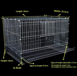 Gabbia Antirottura per Galline Ovaiole da Giardino, Gabbia per Allevamento Polli in Filo Zincato, Gabbia per Pappagalli e Quaglie - Product Image 3