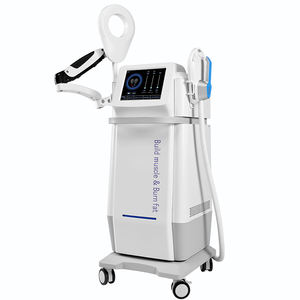 Anillo de Terapia Magnética, Máquina de Fisioterapia de Acero Inoxidable, Seguro y Portátil para el Alivio del Dolor Corporal, Antiinflamatorio, para Articulaciones y Zona Lumbar - Product Image 2