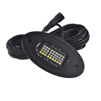 Venta de Fábrica, Precio al por Mayor, Luces LED para Roca, 12V, IP68, Impermeables, Luces LED RGBW con Cambio de Color, Luz Blanca Pura
