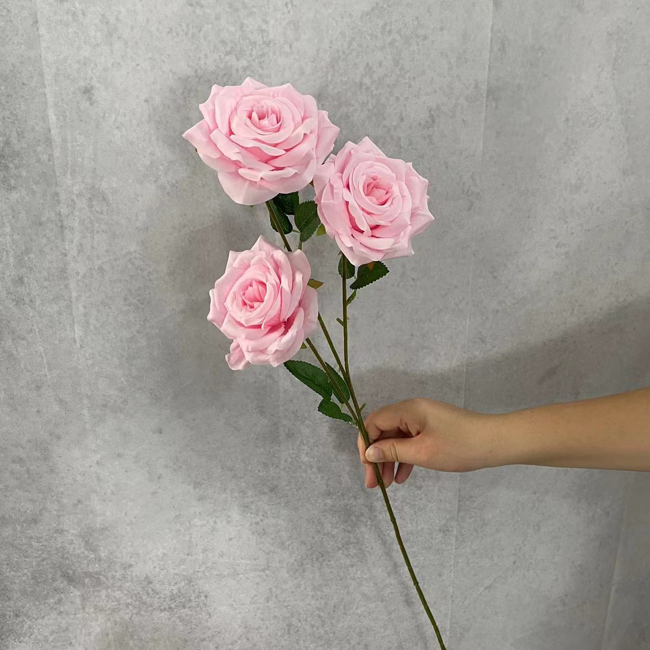 Rose Diamant Rose Sans Feuilles