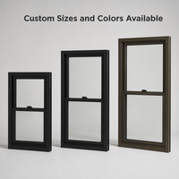 Custom Design Soundproof Waterproof Black Single Hung Window High Airtightness for Villa Projects