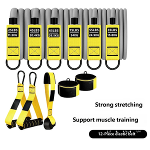 Ensemble de tubes de résistance réglables de 300 lb, 12 pièces, tubes d'entraînement à domicile pour la mise en forme du corps, la rééducation et les exercices - Product Image 2