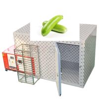 Machine de séchage de courgettes, fabricant chinois, pour tranches de courgettes fraîches, déshydrateur de courgettes vertes, machine de séchage à air chaud