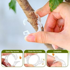 Modern Style Biodegradable PLA <strong>Tomato</strong> Plant Lock Clips for Fixed Vine Gardening Accessories Plant Support Factory Sale - Product Image 6