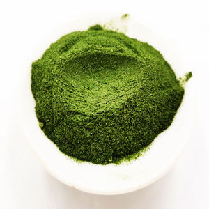 Bubuk ekstrak rumput laut kualitas baik bubuk rumput laut kering bubuk aonori - Product Image 3