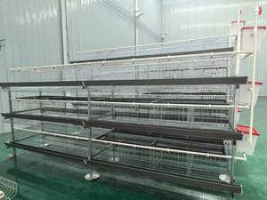 Nouvelle cage à poulets verticale à 3 niveaux et 4 portes, capacité 96 poulets, équipement d'élevage avicole commercial automatique et économique de haute qualité - Product Image 6