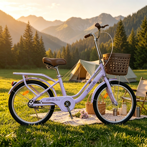 Bicicleta Urbana para Adolescentes de 18-24 Pulgadas, Cuadro de Paso Bajo con Portaequipajes Trasero, Precio de Fábrica, Personalización OEM Disponible FENGYE FENGYE FENGYE FENGYE FENGY - Product Image 3
