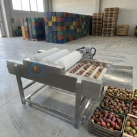 Hoogwaardige cactusvrucht ontsteekmachine, apparatuur voor het reinigen en ontsteiken van vers fruit