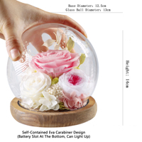 Cadeaux de la Saint-Valentin - Rose éternelle réelle - Bella - Idées de nouveaux produits 2025 - Roses éternelles - Fleur préservée dans un dôme en verre