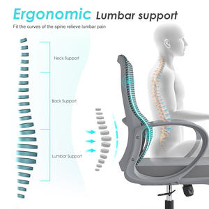 Milieu Du Dos Support Lombaire Fauteuil Visiteur Personnel De Travail Exécutif Ergonomique Chaise De Bureau - Product Image 2
