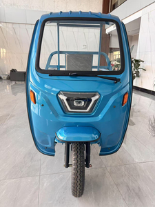 Tricycle semi-fermé pour adultes 1000W 48V pour usage urbain - Product Image 3