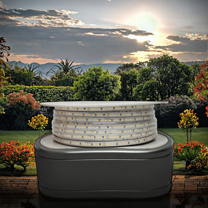 Điện áp cao SMD2835 không thấm nước LED Strip ánh sáng AC110V/220V 120LEDs/M 100m LED Strip PVC cơ thể IP65 Silicone - Product Image 2