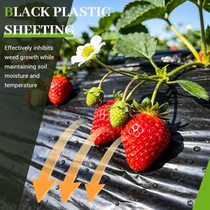 Bâche plastique 6 mil 10 pi x 25 pi, polyéthylène noir robuste, imperméable, barrière anti-mauvaises herbes, protection UV - Product Image 4